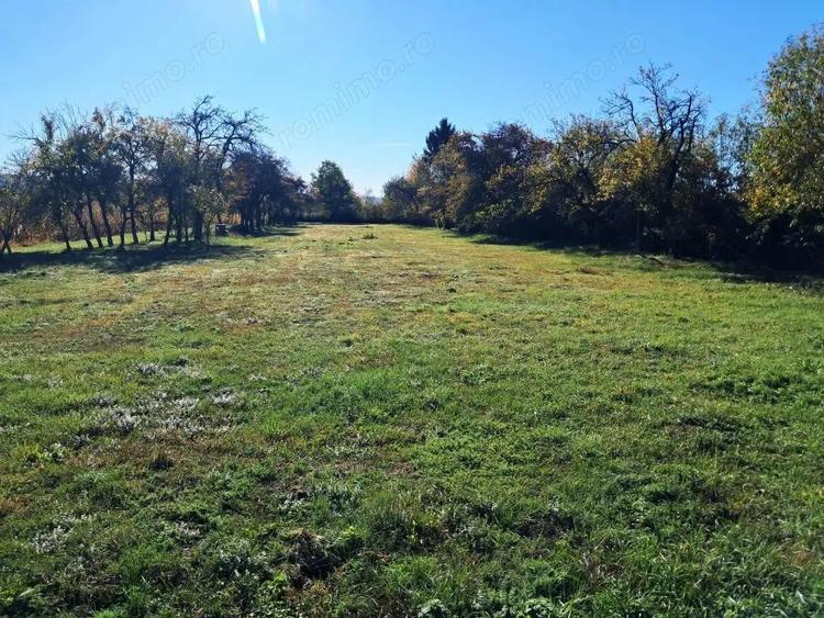 TEREN INTRAVILAN ?I EXTRAVILAN POLOVRAGI-RACOVI?A - 8