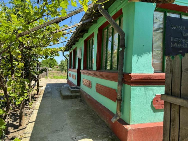 Casa parter Braila Ulmu/ Mohreanu curte 1225mp - 6