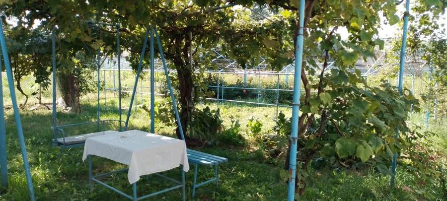 Casa in Luminis Comuna Piatra Soimului - 2