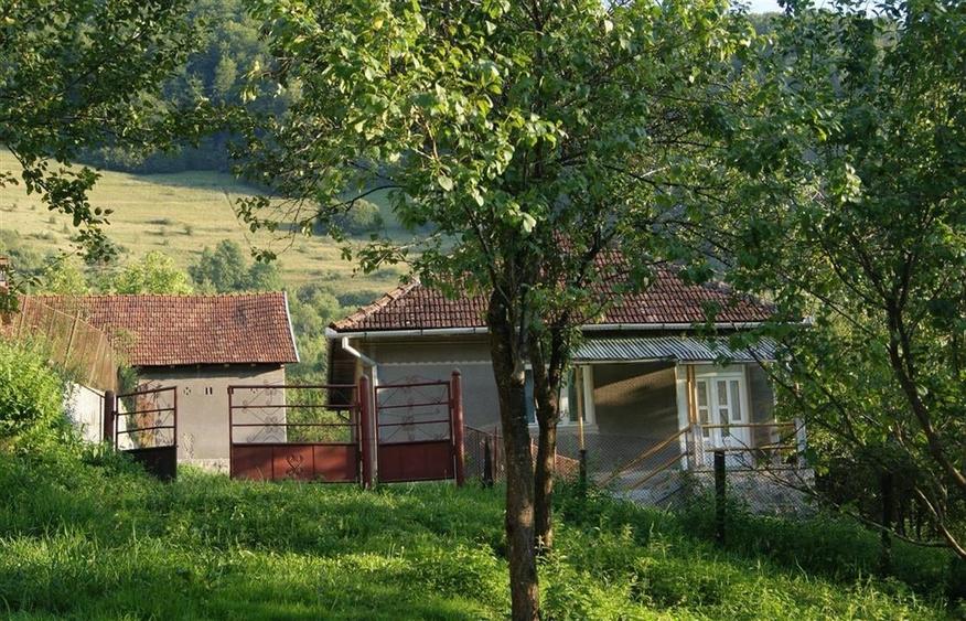 10 hectare teren plus casa la munte in Buces, Hunedoara - 1