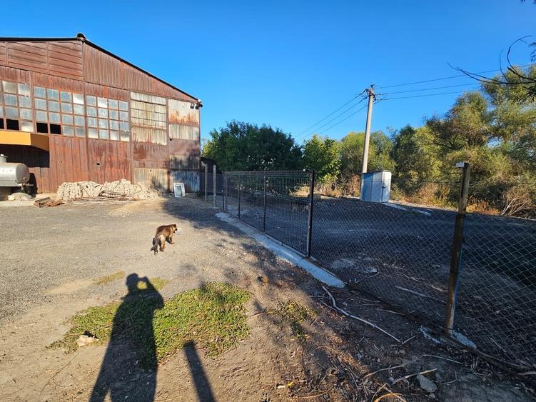 Oportunitate Teren deschidere la E87 Smardan Tulcea - 3