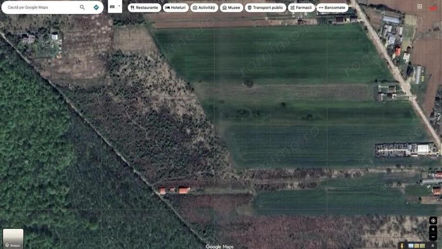 `Teren cu dubla deschidere, langa padure, Snagov - Strada Parcului - 4