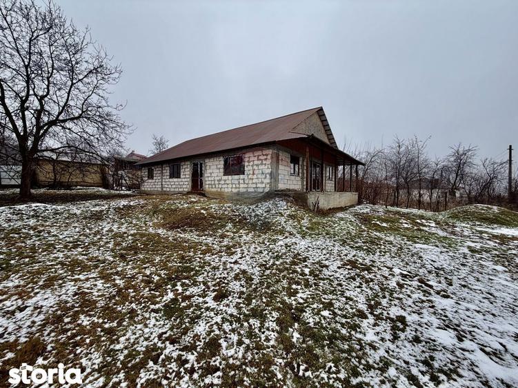 Casa Bolotesti / Vitanestii de Sub Magura - 9