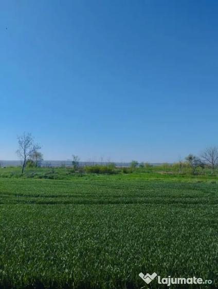 Vand teren intravilan 4000MP cu dechidere la Delta Neajlovu - 1