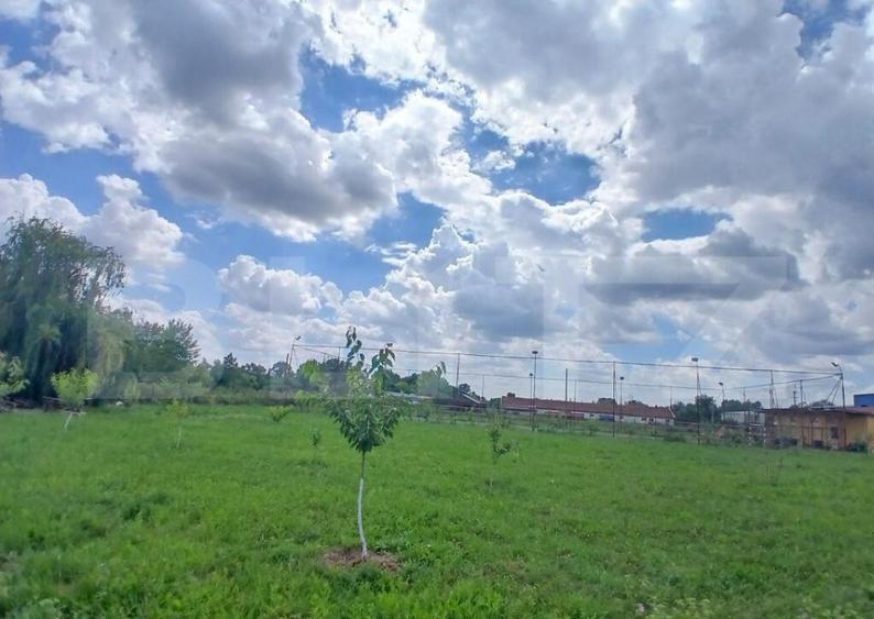 Casa superba in Tinca, 225 mp, 20 ari luciu de apa, teren fo - 17