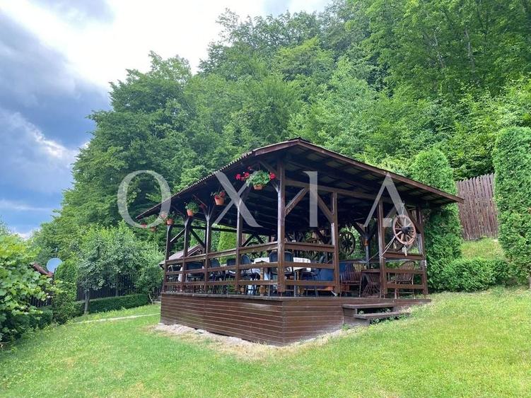 AX949 Pensiune Exclusivista In Inima Statiunii Sovata - 3