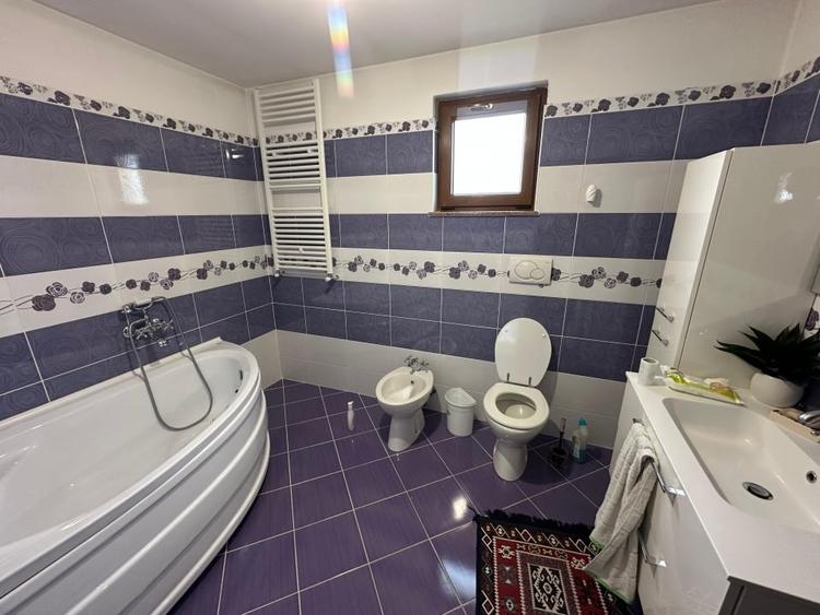 Casă spațioasă în Vânători, 5 camere, teren 1070 mp, livadă - 4