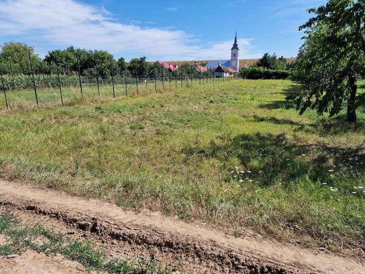 Teren intravilan de vanzare Uileacu de cris - 3