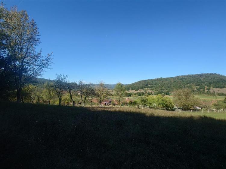 5,6 ha terenuri si padure in Criscior - 3