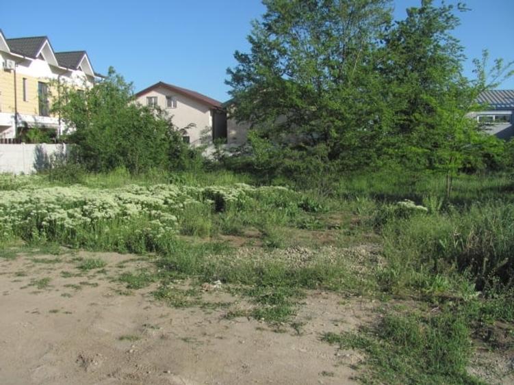 Prelungirea Ghencea - Topaz - 5