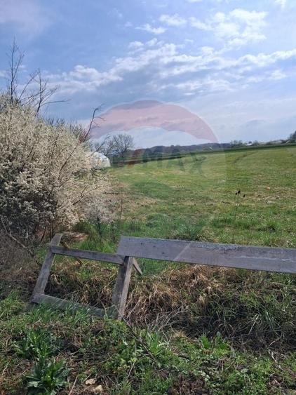 Teren 1,439mp Santaul Mare / Strada principala - 2