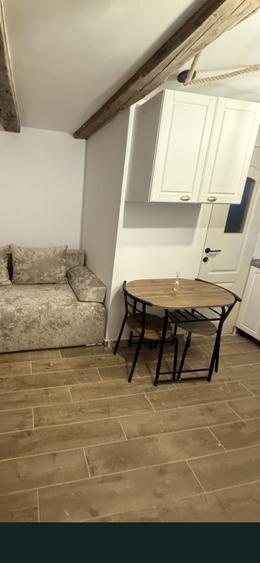 Garsoniera la casa-renovata- singur in curte- Pet Friendly- Schei - 6