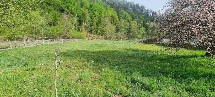vand casa cu teren in muntii Apuseni - 3