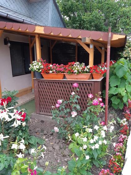 Casa cu teren de vanzare Perieni, Vaslui - 2