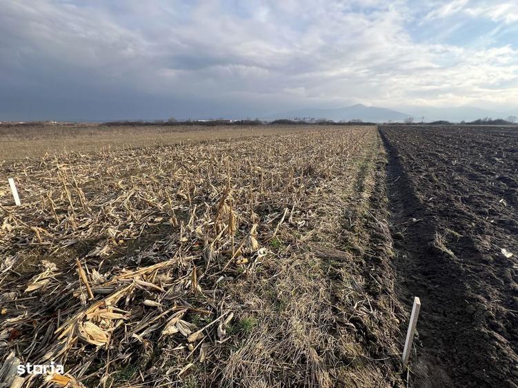 Vanzare Teren Extravilan Comuna Cristian, Zona La Sere - 1