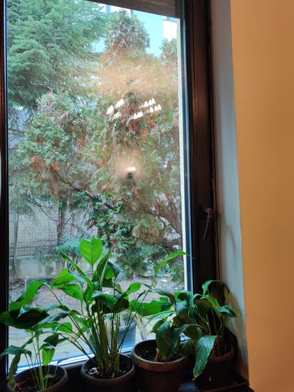 Vilă interbelică și teren 684 mp zona Viilor/Parcul Carol - 3