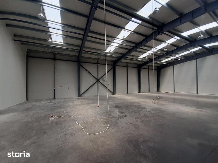 Hale de 500mp si 600mp in zona Progresul, Jilava - 4
