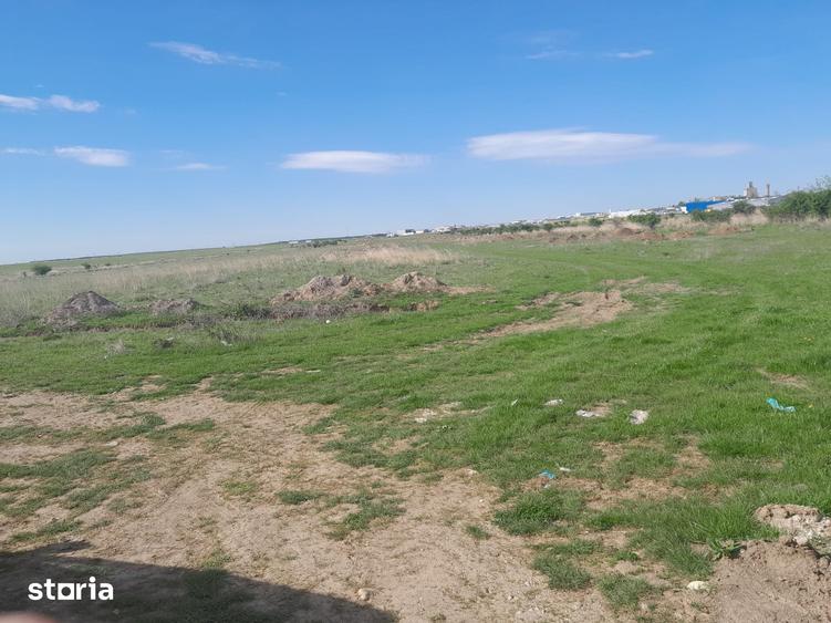 Teren de 30700 mp, în Albota