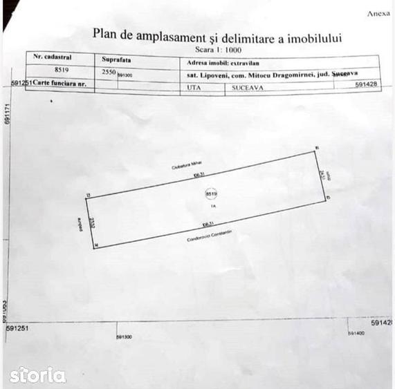 Teren extravilan, sub padure, Lipoveni - 4