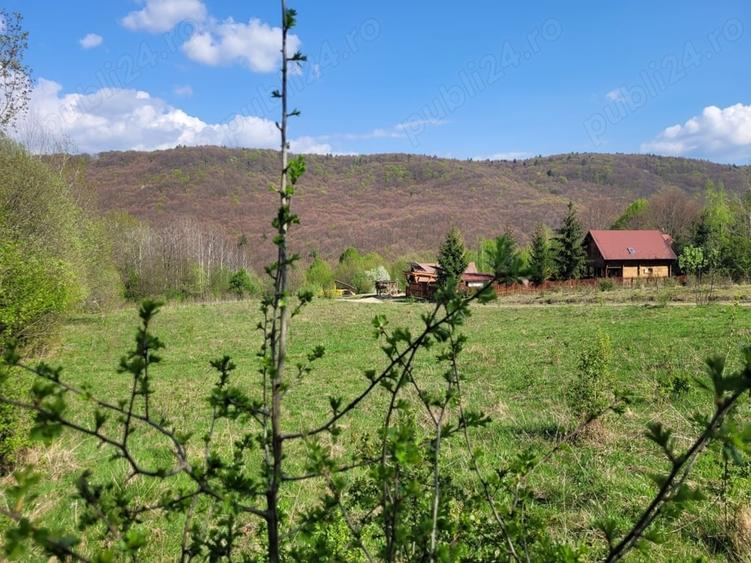 Teren de 4000 mp, în Satu Mare