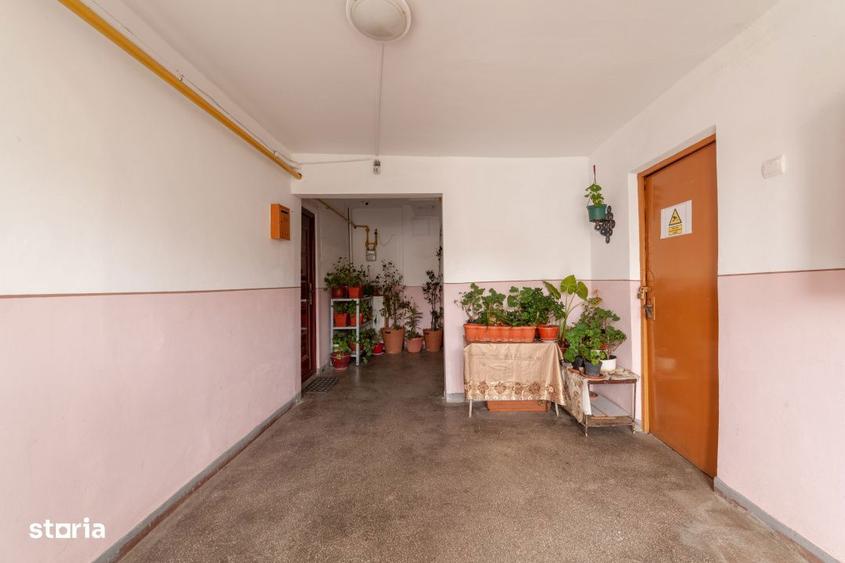 Apartament Topoloveni - 3 camere, decomandat, parter - 6