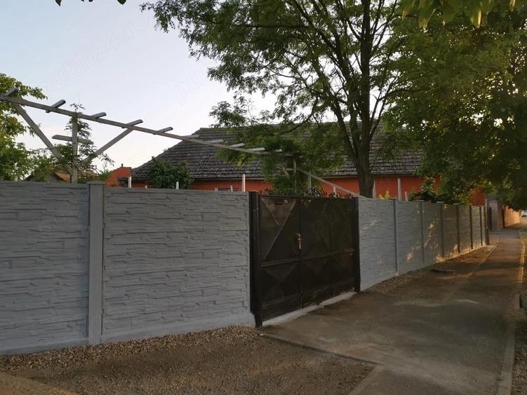 Casă cu 3 camere cu Teren 3800 Mp în Periam