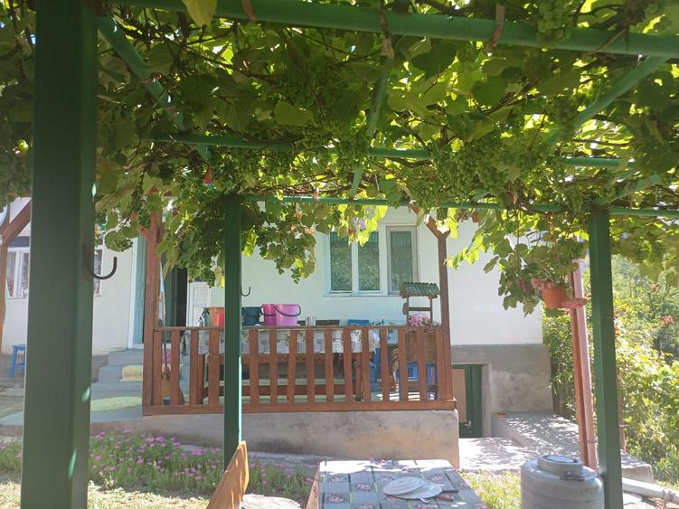 Casă cu 3 camere în Deve