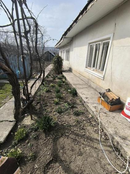 Casa batraneasca de vanzare Hu?i - 4