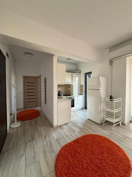 Delfinariu - Apartament 2 camere de inchiriat - 4