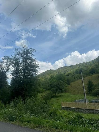 Teren 2 hectare pe Valea Ariesului, zona Scarita-Belioara, pret oportun 2 Eur/mp - 16