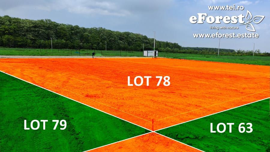 Loturi de casă 720 - 900 mp, langă Pădure în eForest, acces asfaltat - 3