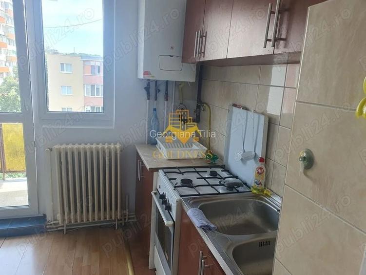 2 camere decomandate, Pet Friendly, Plaja Grigorescu, Profi, Somesului