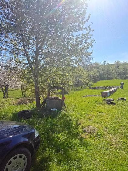 Casa de vanzare. - 3