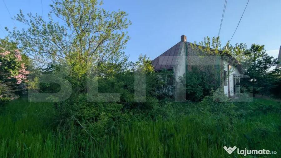 Casa 3 dormitoare, 90 mp, 1150 mp teren, Mircea Voda - 10