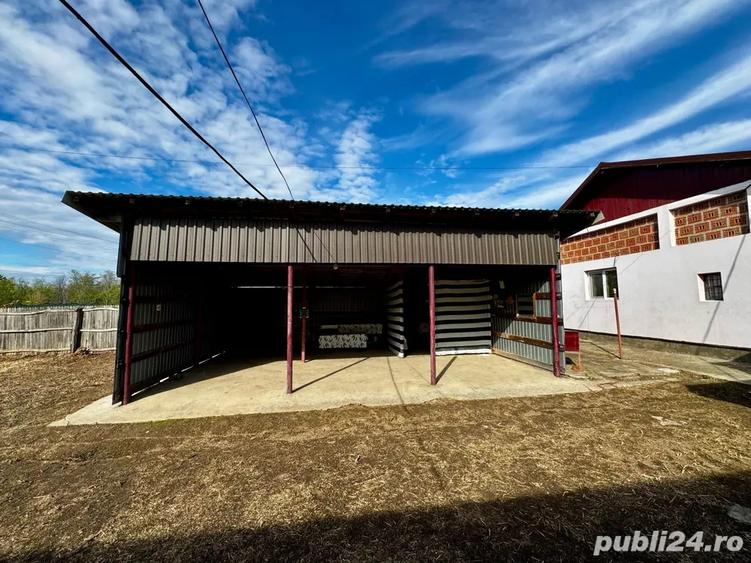 Casa de vanzare in Silisteni 2 case, garaj, curte, gradina ?i livada - 2