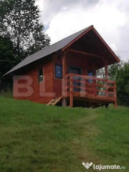 Casa cu teren de 2330 mp, anexa de 15 mp, zona Muntele Rece - 12