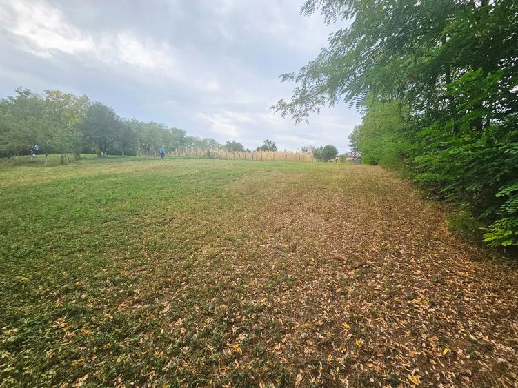 Teren intravilan, cu priveliște– Vălenii de Munte - 5