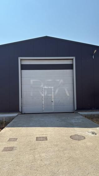 Hala de Vanzare Centura  / Magurele - 2