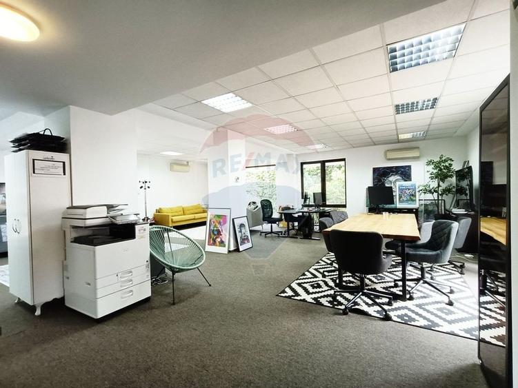 Vanzare Spatiu Comercial / Birou, Str. Popa Tatu -Cismigiu, Investitie - 3