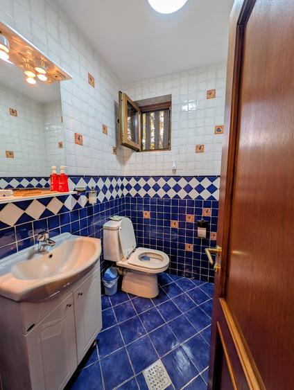 Jiului-Coralilor-Damaroaia,eleganta,robusta,garaj,curte intima,vegetatie matura - 36