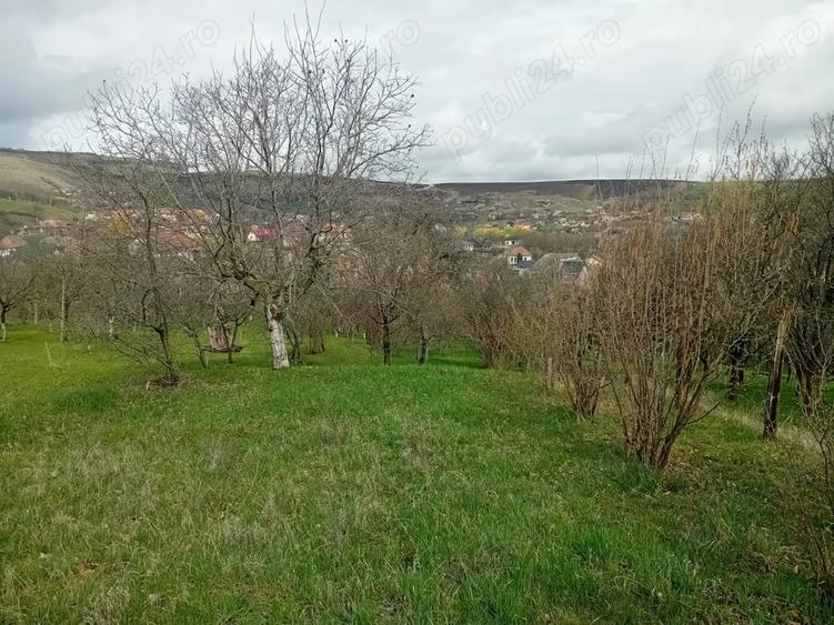 Casa de vanazare in Sandule?ti - 8