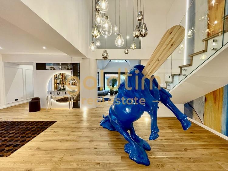 UNICA/ABSOLUT SUPERBA/ VILA INDIVIDUALA/IANCU NICOLAE/CURTE GENEROASA - 21