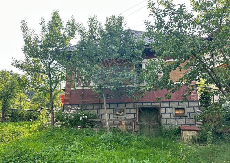 De vanzare GOSPODARIE in BUDESTI/ Maramures - 7