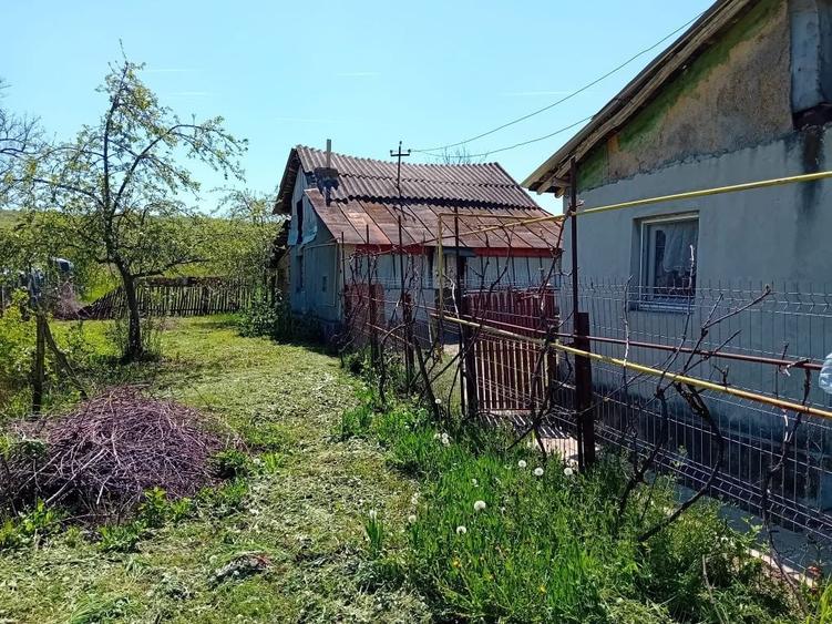 Casa Podenii Noi - 5