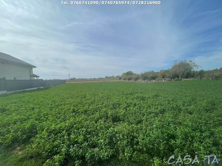 Teren Intravilan 1000 mp, Balesti - Ceauru - 1