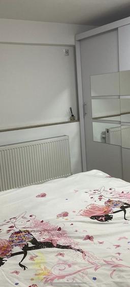 Inchiriez garsoniera la curte - 1