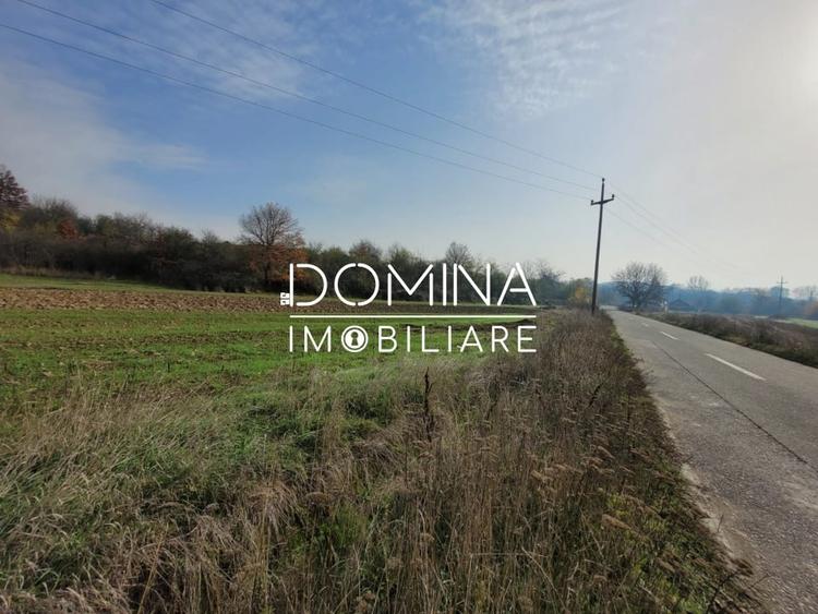 Vanzare teren intravilan - 1654 mp - strada Amurgului - Ursati - 5