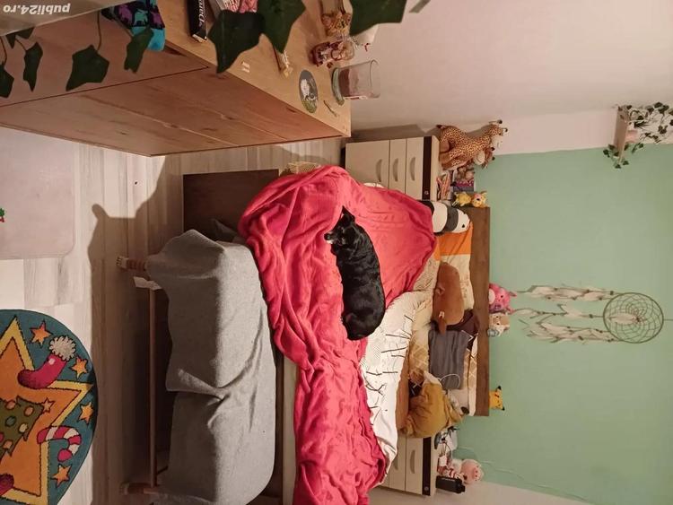 Vand casa 2 camere zona Petre Ispirescu - 7