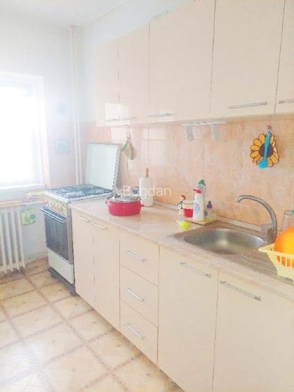 Lacul Tei, Plumbuita, partial mobilat si utilat