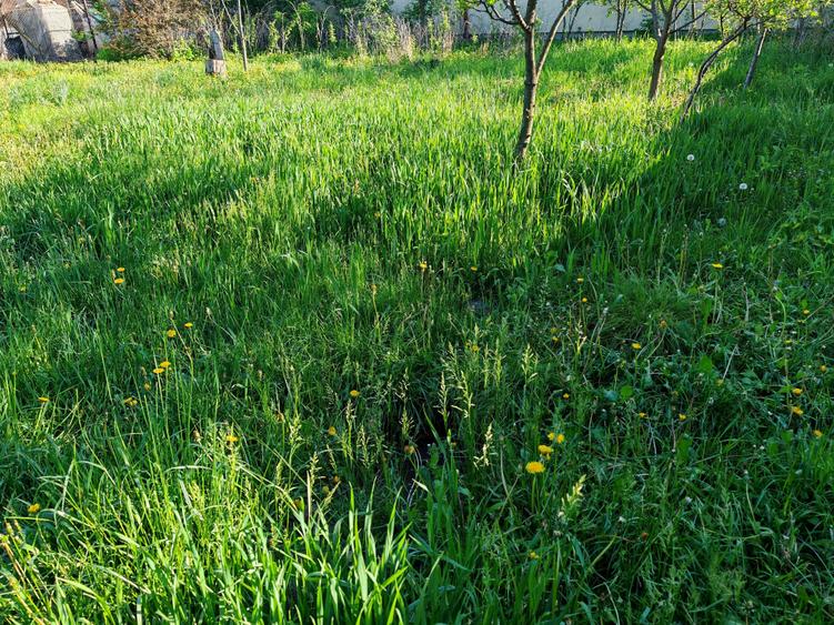 Teren rezidential intre case zona Mihai Eminescu - 5